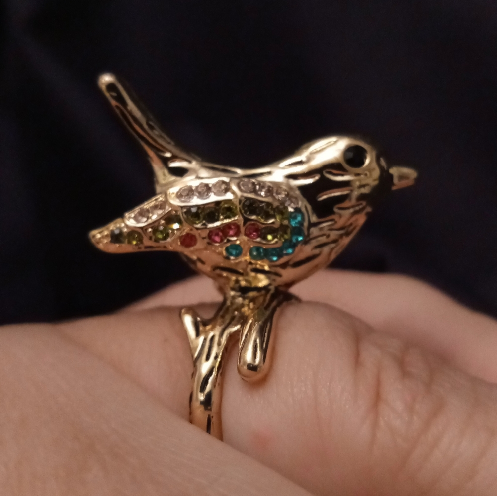 Bird ring